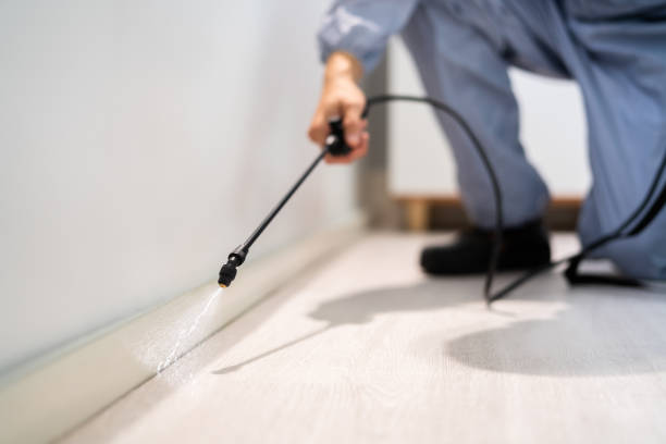 Licensed Termite Control service in St. Croix County County, WI - Nex Pest Control