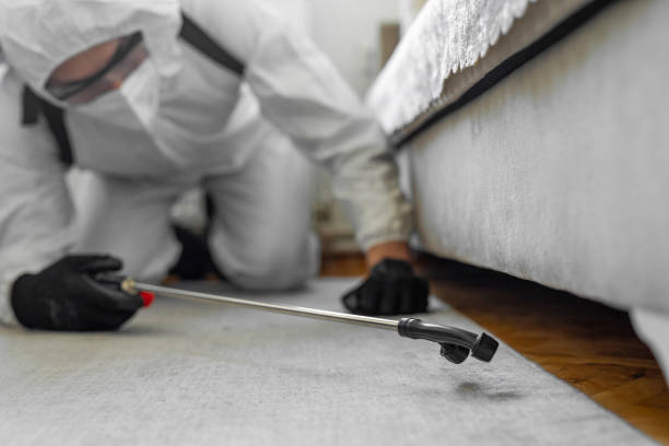 Professional Termite Control technician working in St. Croix County County, WI